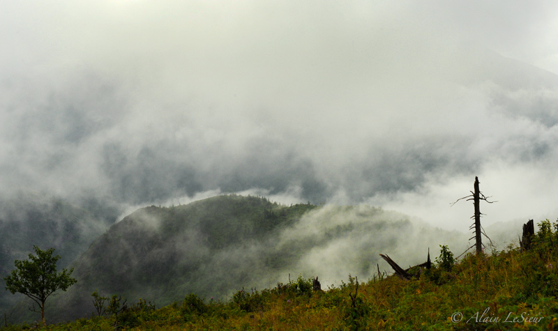 Parc national de la Gaspésie